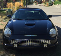 Thunderbird Thunderbird