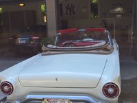 Thunderbird Thunderbird