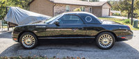 Thunderbird Thunderbird