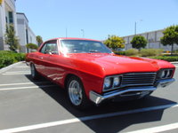 Skylark Skylark