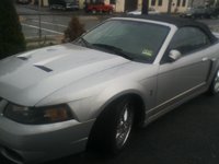 Mustang SVT Cobra Mustang SVT Cobra