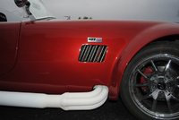 Cobra Cobra