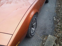 Firebird Firebird