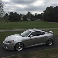 Tiburon Tiburon