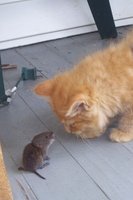 Kevin0 Kevin0