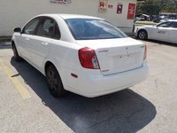 Forenza Forenza