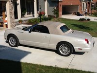 Thunderbird Thunderbird