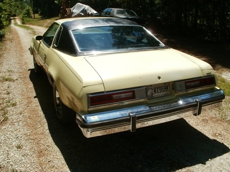 1976 Chevrolet Malibu Overview Cargurus