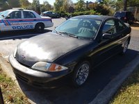 Cavalier Cavalier