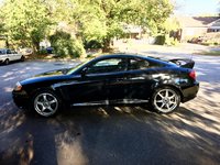 Tiburon Tiburon