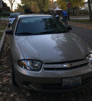 Cavalier Cavalier