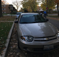 Cavalier Cavalier