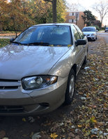Cavalier Cavalier