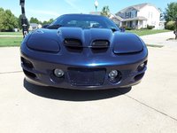 Firebird Firebird