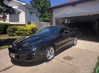 Firebird Firebird