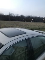 Alero Alero