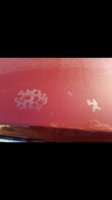 1978 Oldsmobile Cutlass Supreme Overview 1978 Oldsmobile Cutlass Supreme Overview