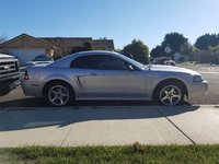 Mustang SVT Cobra Mustang SVT Cobra
