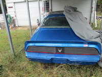 Firebird Firebird