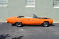 Road Runner Road Runner