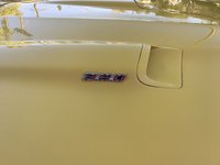 Firebird Firebird