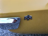 Firebird Firebird