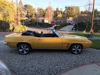 Firebird Firebird