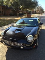 Thunderbird Thunderbird