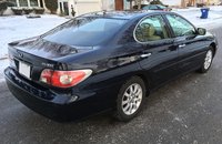 ES 300 ES 300