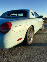 Thunderbird Thunderbird