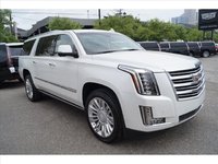 2017 Cadillac Escalade ESV Overview 2017 Cadillac Escalade ESV Overview