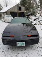 Firebird Firebird