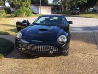 Thunderbird Thunderbird