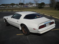 Firebird Firebird