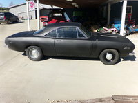 Barracuda Barracuda
