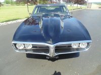 Firebird Firebird