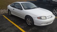 Cavalier Cavalier