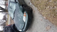 Cavalier Cavalier