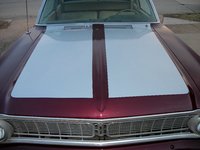 Falcon Falcon