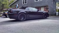 Mustang SVT Cobra Mustang SVT Cobra