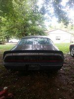 Firebird Firebird