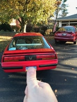 Firebird Firebird
