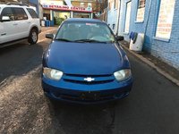Cavalier Cavalier