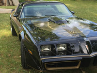 Firebird Firebird