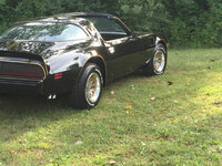 Firebird Firebird