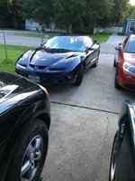 Firebird Firebird