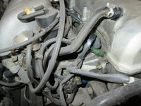 1997 Kia Sephia - Pictures - CarGurus