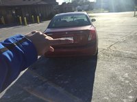 Forenza Forenza