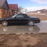 Thunderbird Thunderbird