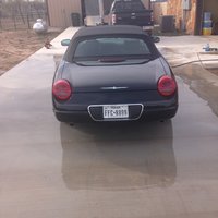 Thunderbird Thunderbird
